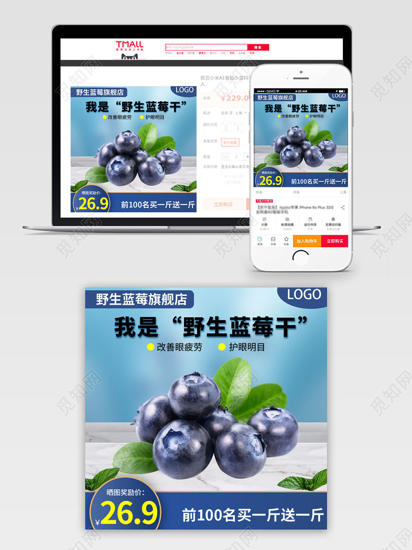 蓝色系清新风我是野生蓝莓干买一送一主图直通车促销活动
