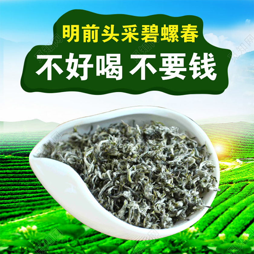 绿色清新碧螺春茶品促销活动电商主图直通车