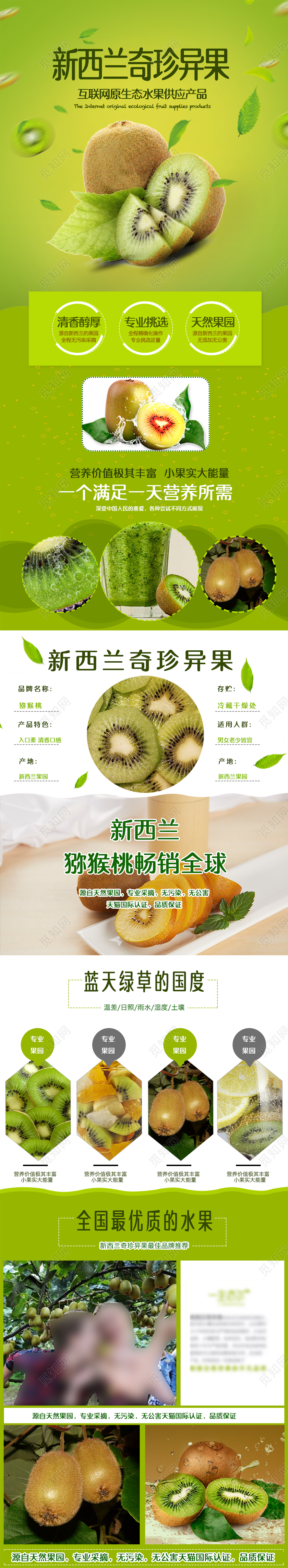 绿色清新新西兰猕猴桃水果猕猴桃电商首页通用模版
