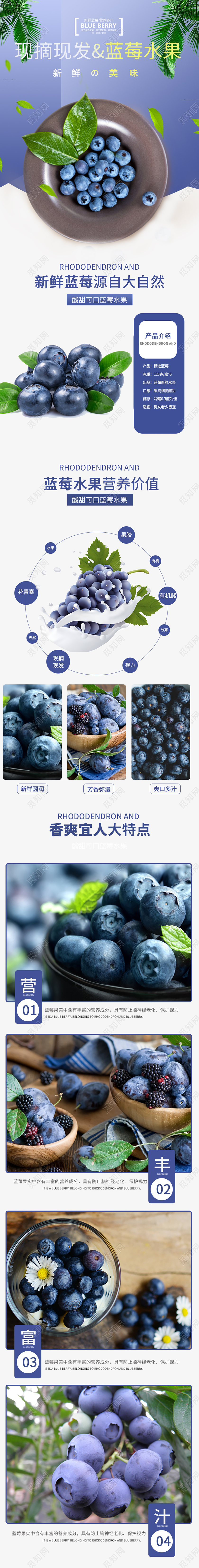 电商淘宝时尚简约现摘现发蓝莓水果促销手机端详情页模板