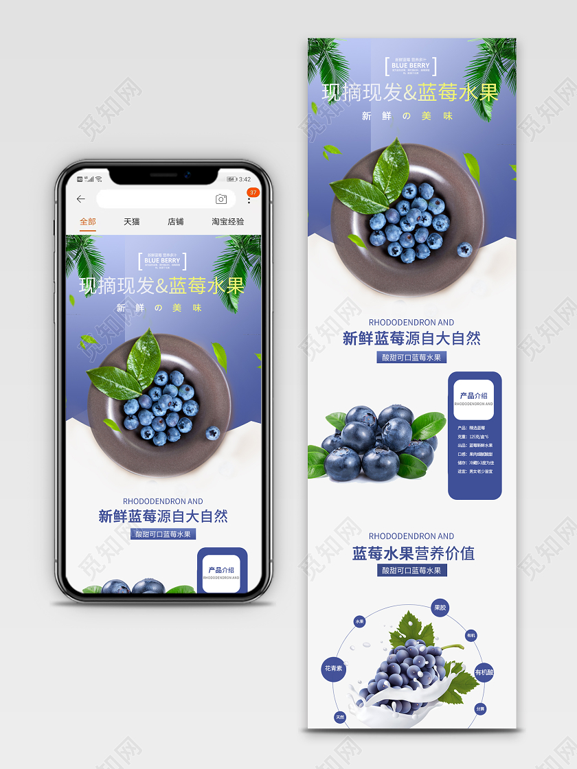 电商淘宝时尚简约现摘现发蓝莓水果促销手机端详情页模板