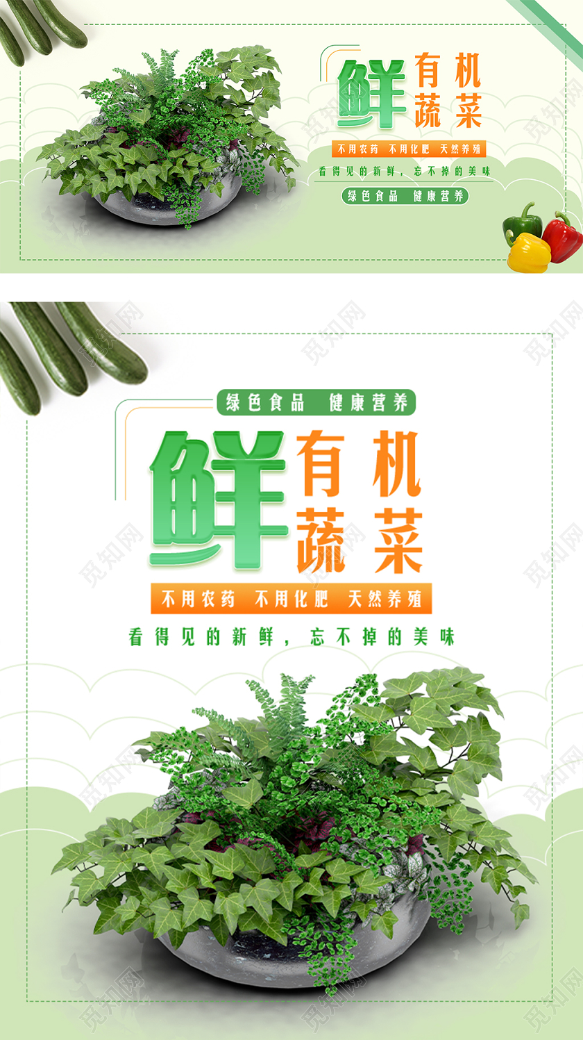 绿色简约风格新鲜有机蔬菜绿色食品健康营养淘宝电商促销海报