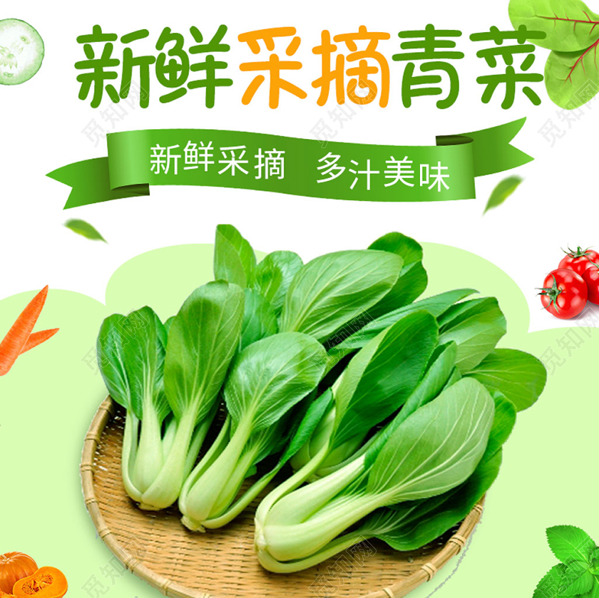 绿色小清新青菜主图直通车电商模板