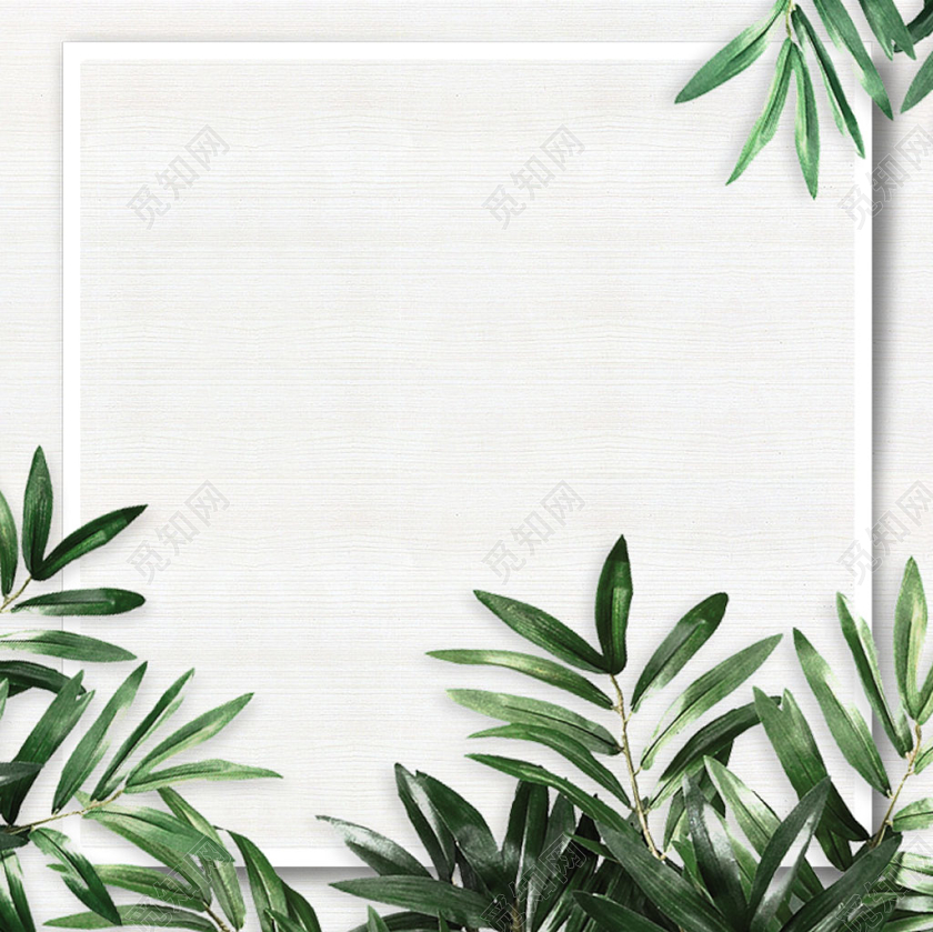 创意绿色早春热带植物清新文艺电商淘宝主图直通车