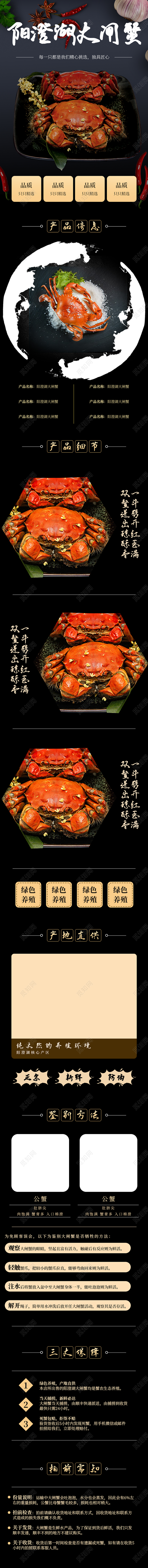 黑色时尚简约阳澄湖大闸蟹大闸蟹电商淘宝详情