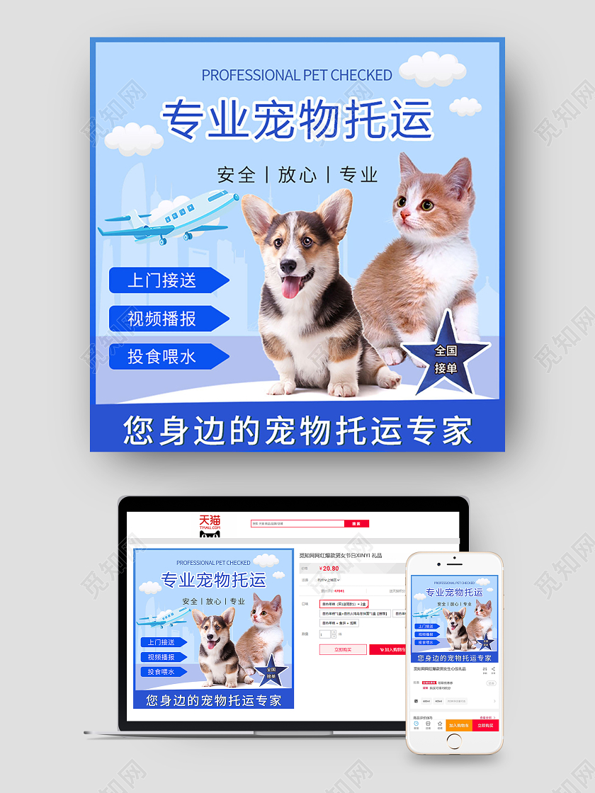 蓝色几何宠物专业宠物托运宣传主图宠物主图