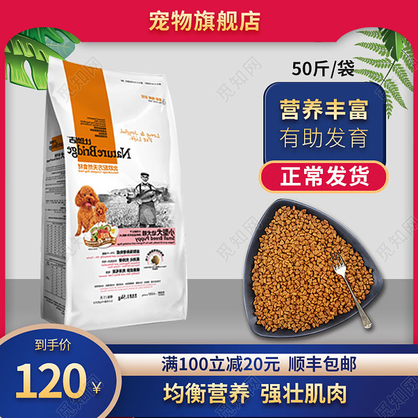 蓝色几何营养狗粮促销主图宠物主图