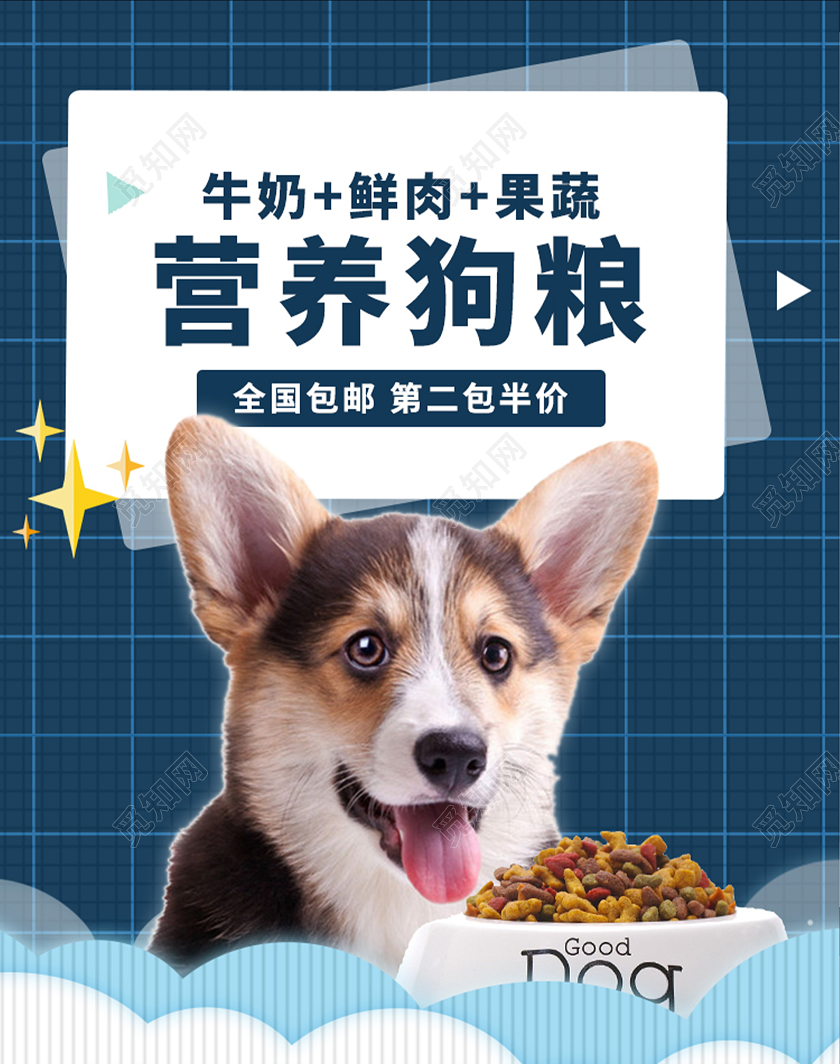 蓝色简约大气营养狗粮电商店铺PC无线端海报banner宠物海报banner