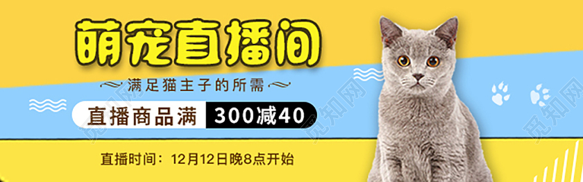 蓝黄色卡通电商宠物直播钻展海报宠物钻展
