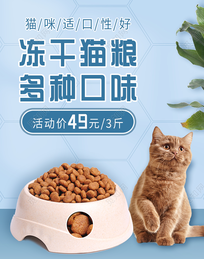 蓝色可爱宠物冻干猫粮海报banner宠物海报banner