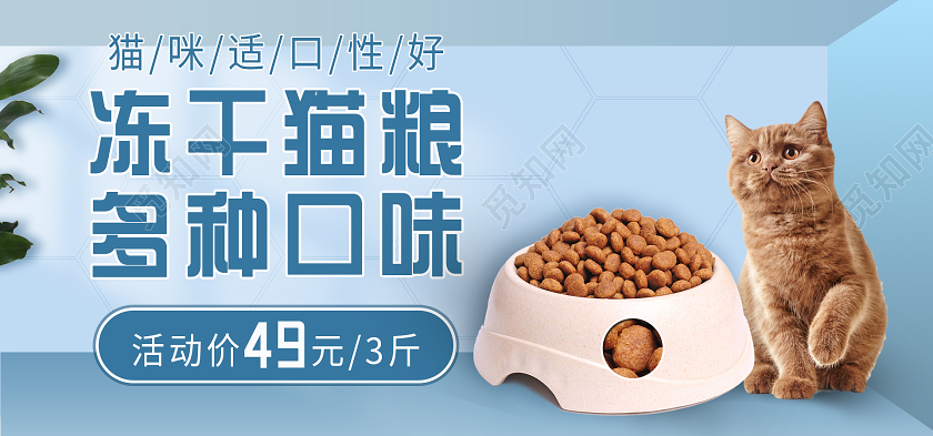 蓝色可爱宠物冻干猫粮海报banner宠物海报banner