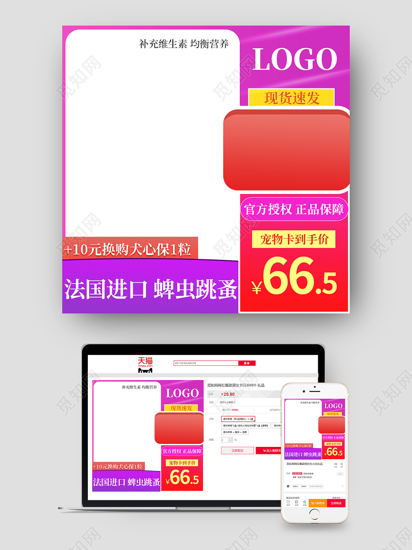 紫色渐变边框法国进口蜱虫跳蚤宠物用品宠物主图