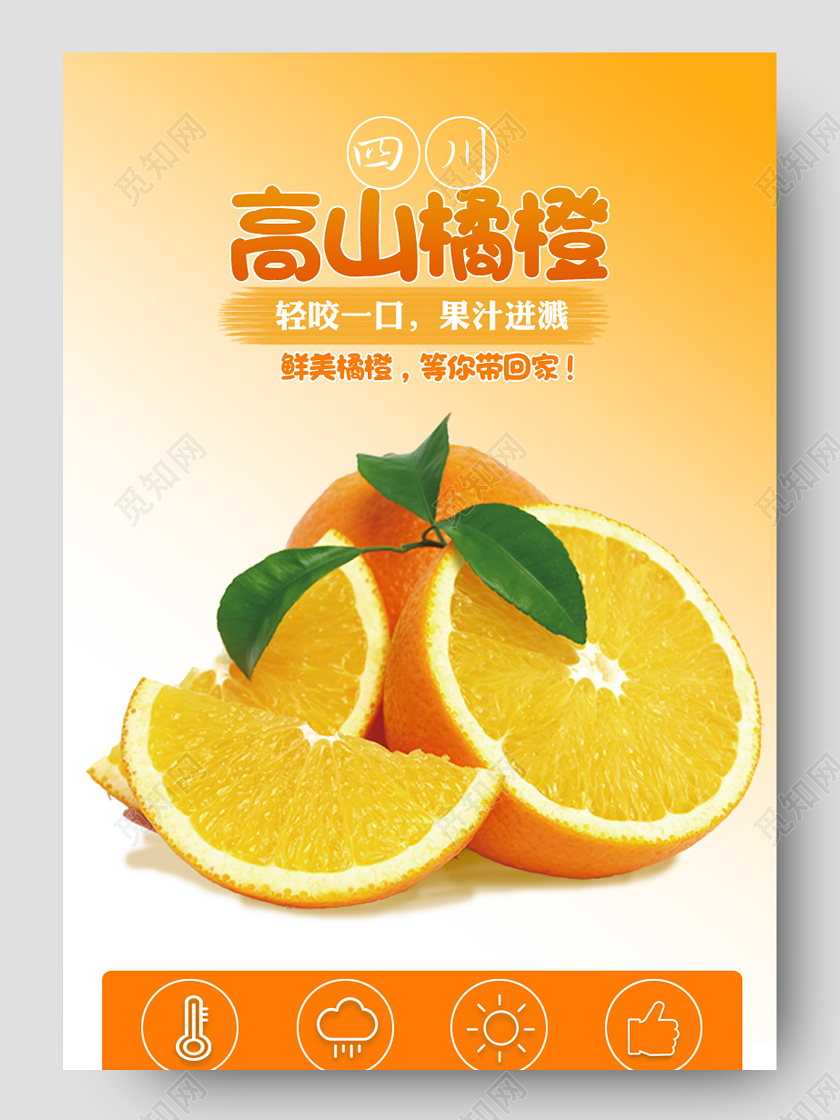 橙色美味鲜橘橙子淘宝电商详情页生鲜水果橙子详情页
