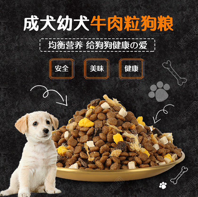 黑色童趣成犬幼犬牛肉粒狗粮均衡营养安全美味狗粮主图宠物主图