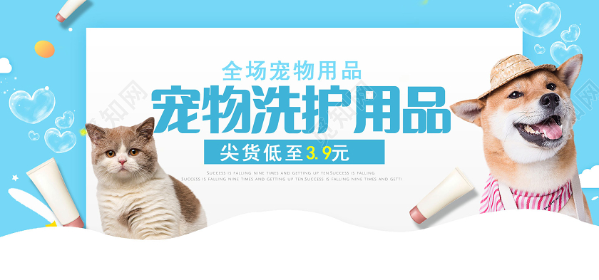 蓝色卡通宠物洗护用品banner宠物banner