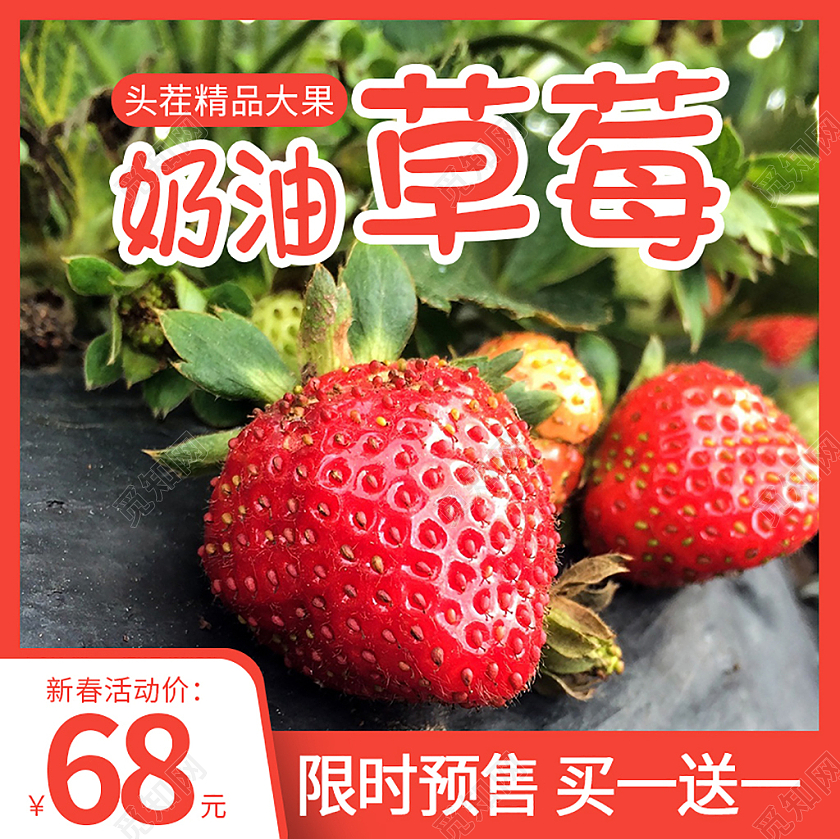 红色简约常规食品生鲜水果奶油草莓主图直通车