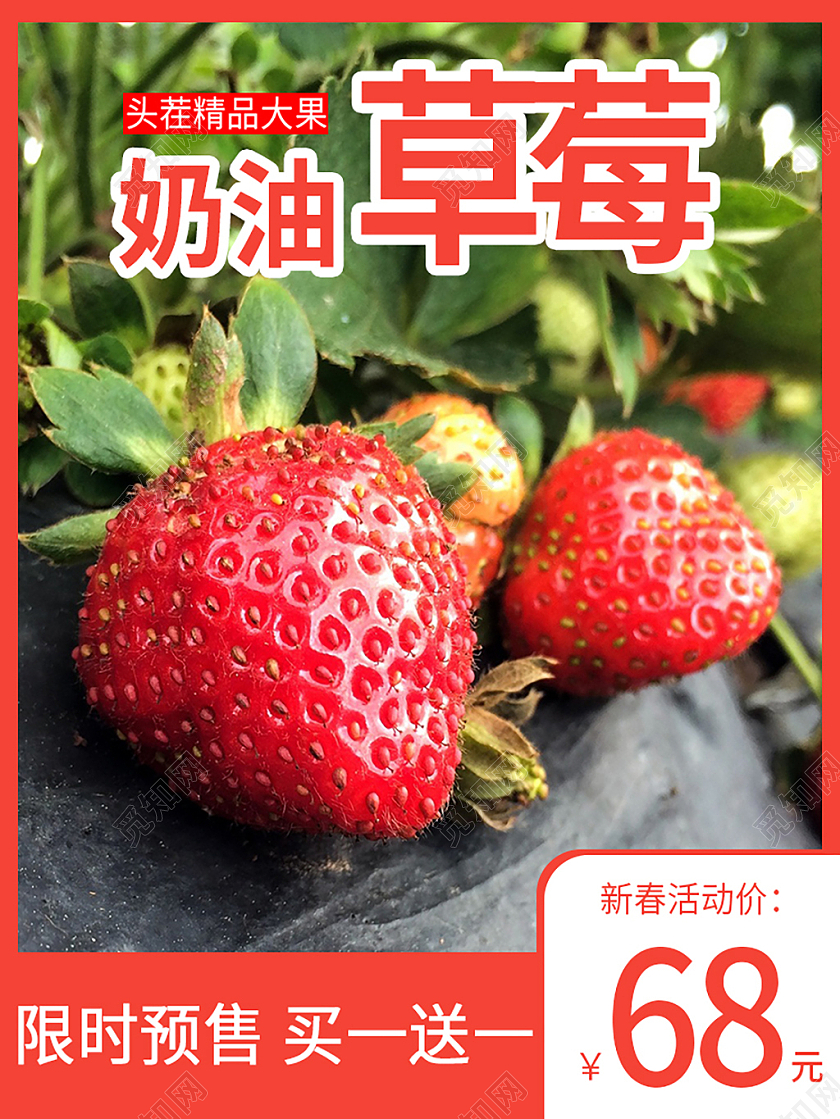 红色简约风水果电商淘宝主图草莓主图