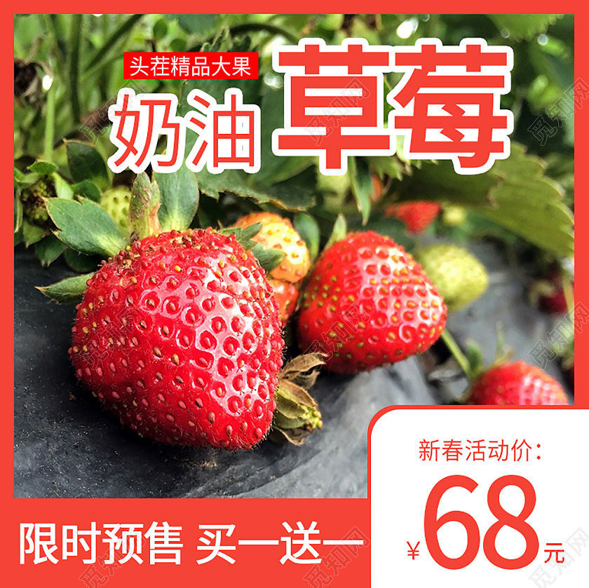 红色简约风水果电商淘宝主图草莓主图