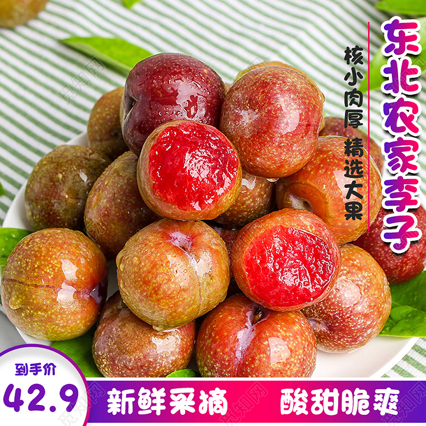 蓝色简约生鲜东北农家李子水果李子主图直通车