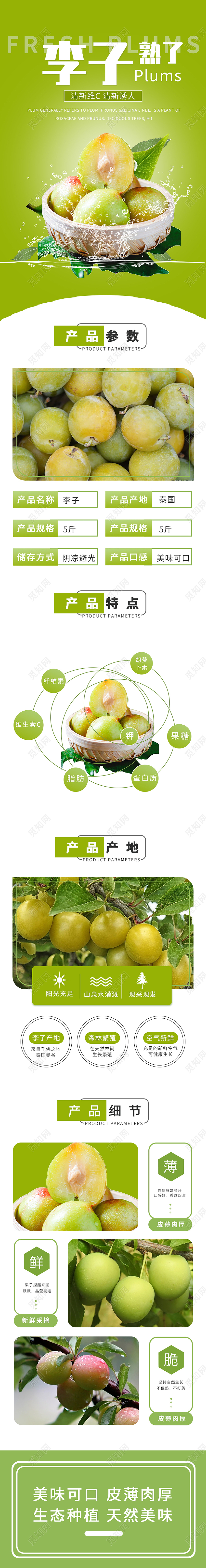 绿色简约李子熟了水果李子详情页