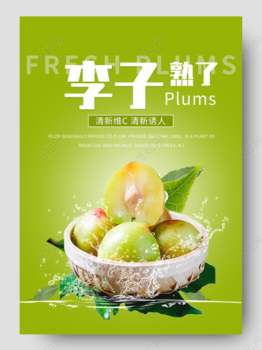 绿色简约李子熟了水果李子详情页