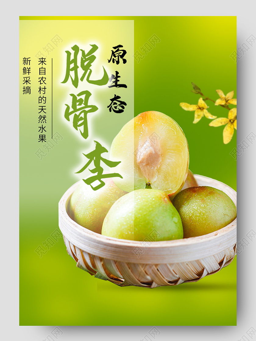 黄绿色原生态脱骨李绿色天然中华名果水果李子详情页