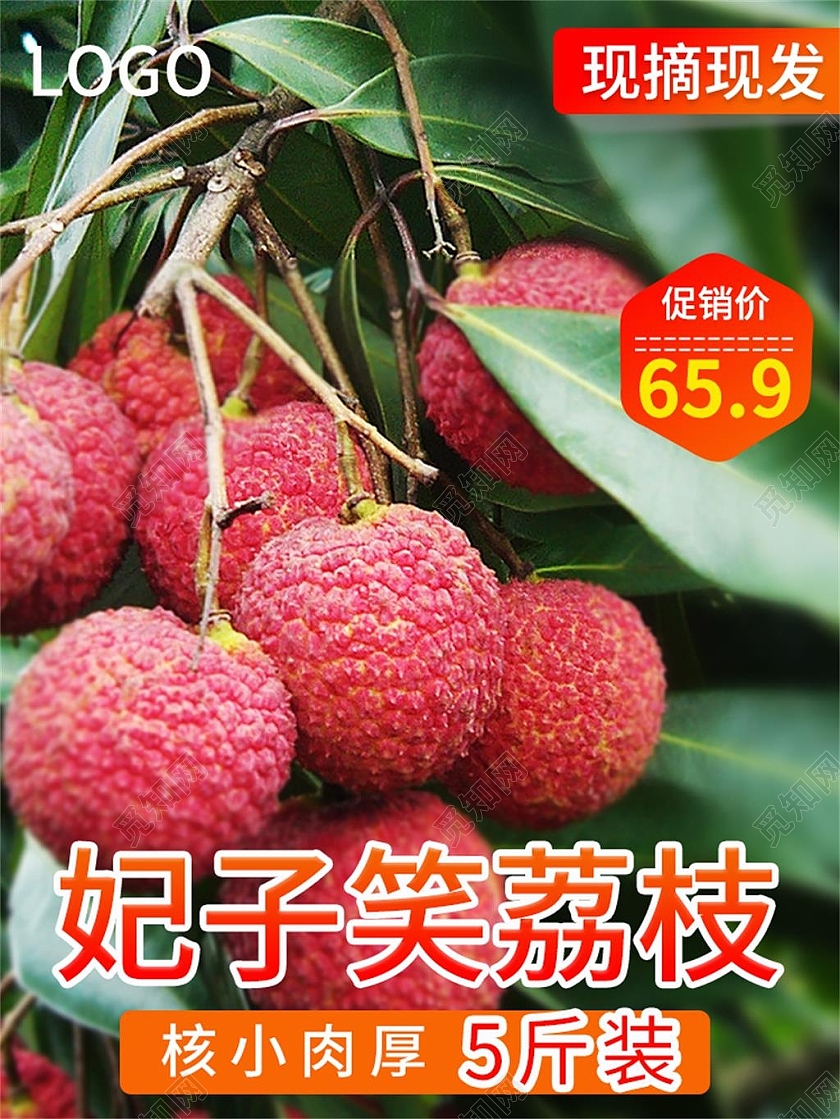 绿色简约妃子笑荔枝荔枝水果荔枝妃子笑主图直通车