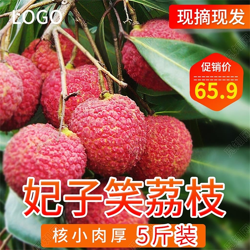 绿色简约妃子笑荔枝荔枝水果荔枝妃子笑主图直通车