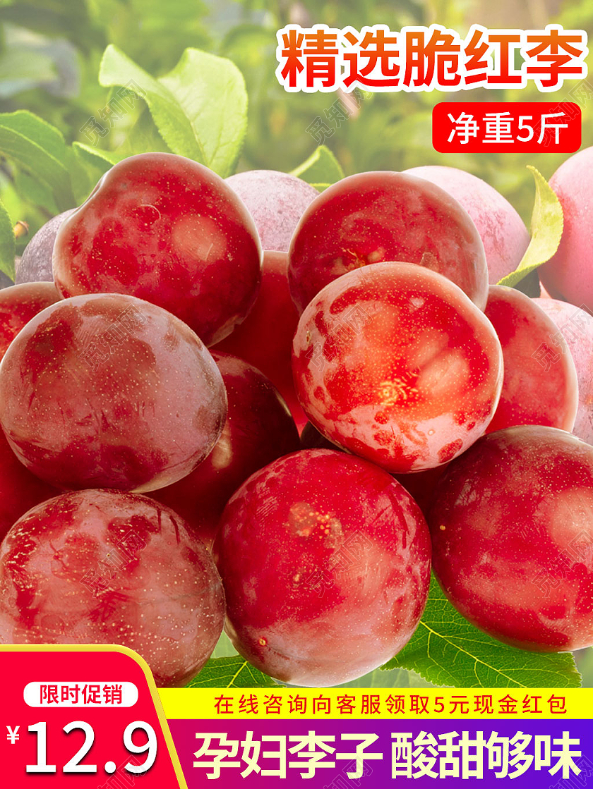 红色简约风精选脆红李水果李子主图直通车