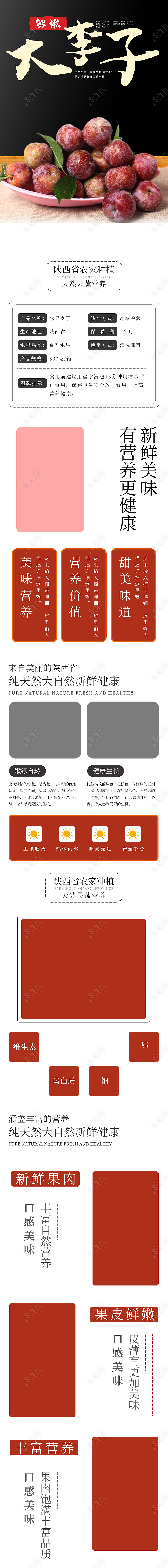 白色简约大气水果李子黑布李酸甜可口大李子水果李子详情页