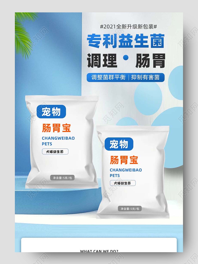 蓝色背景专利益生菌宠物调理肠胃详情618宠物详情页