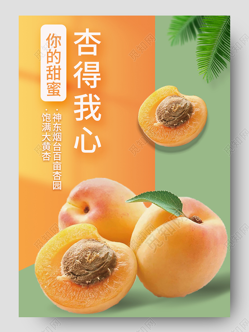 黄色简约杏得我心新鲜饱满大黄杏水果详情页