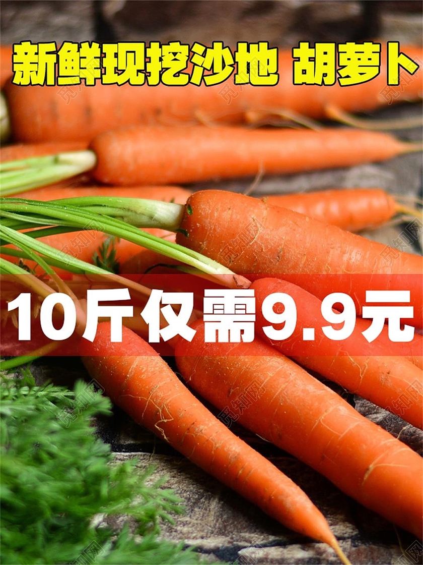 白色简约新鲜现挖沙地胡萝卜蔬菜主图