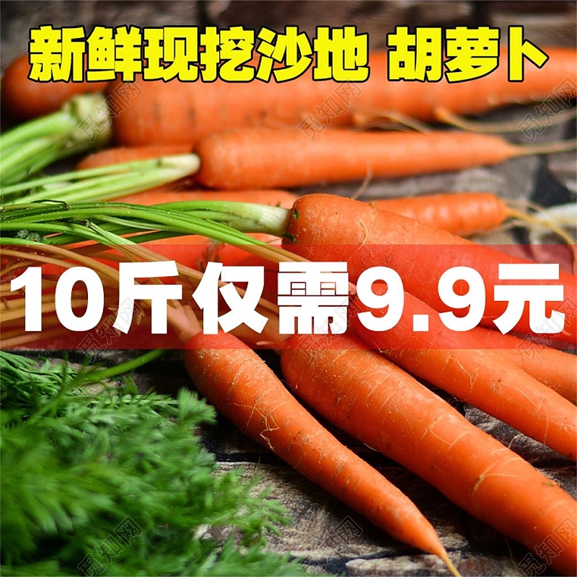 白色简约新鲜现挖沙地胡萝卜蔬菜主图