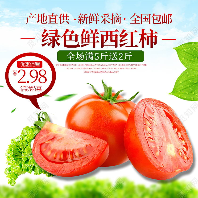 绿色健康新鲜西红柿产地直供新鲜采摘优惠促销蔬菜主图
