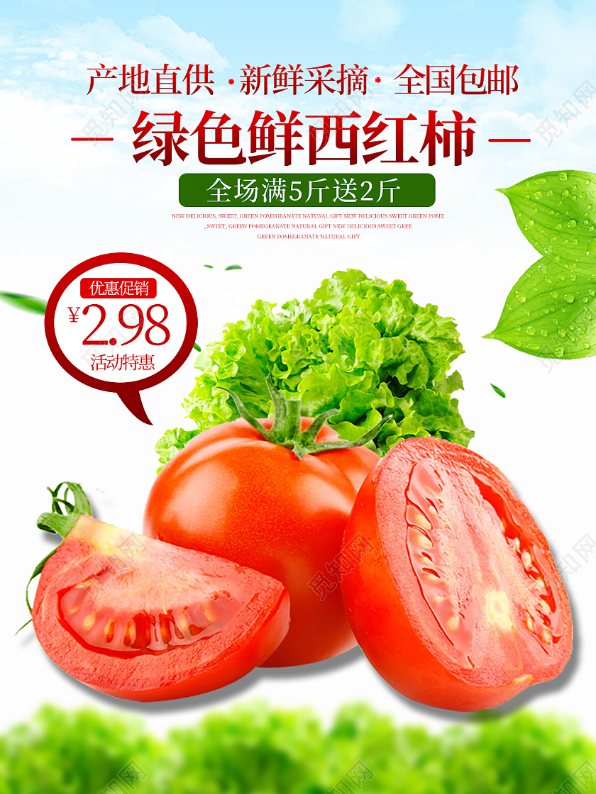 绿色健康新鲜西红柿产地直供新鲜采摘优惠促销蔬菜主图