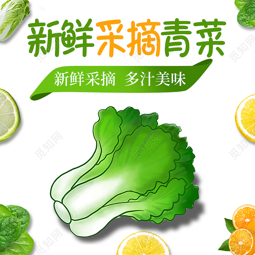 绿色卡通简约新鲜采摘青菜多汁美味青菜蔬菜蔬菜主图
