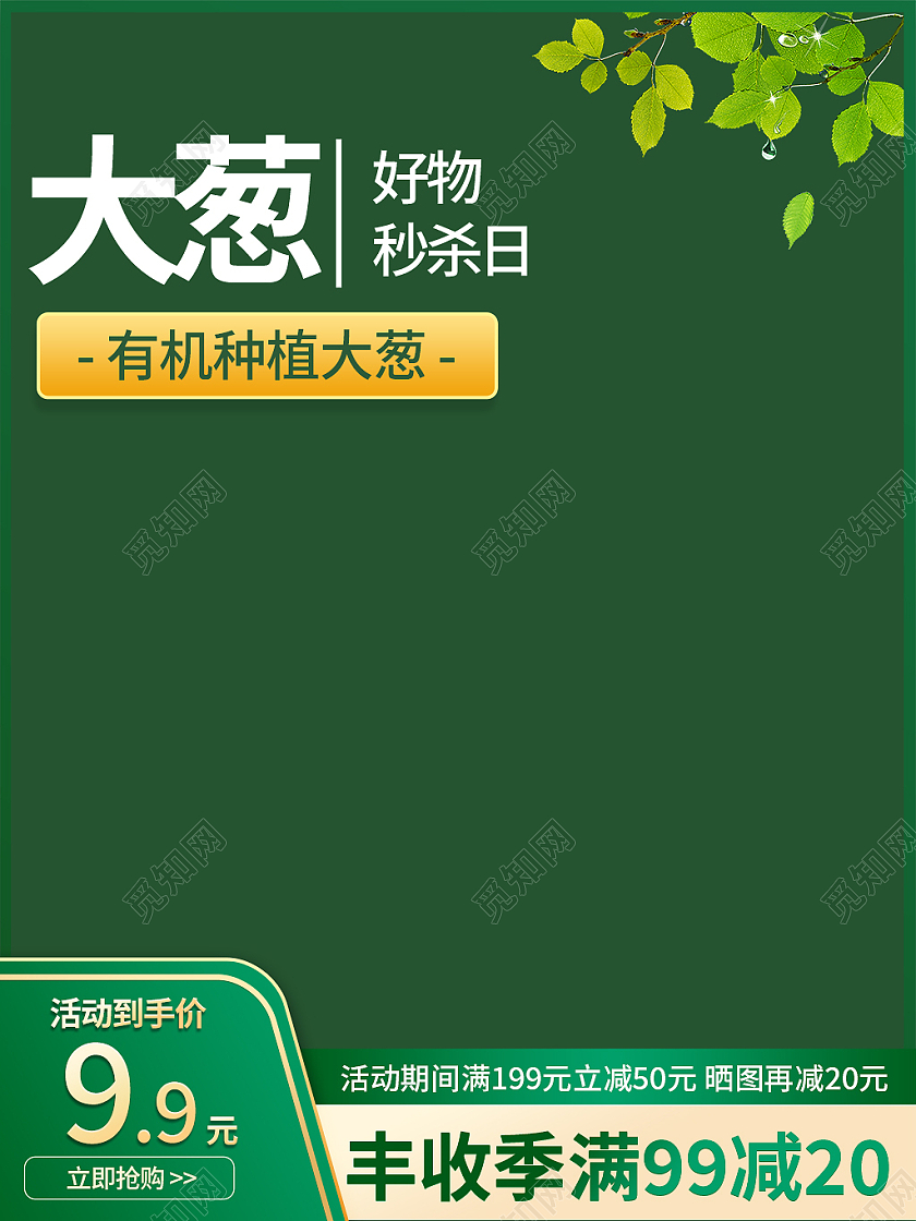 绿色简约风大葱蔬菜主图直通车