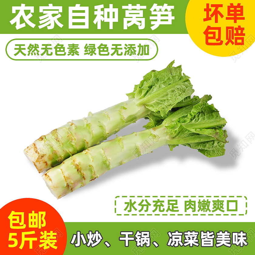 绿色农家自种莴笋肉嫩爽口电商淘宝蔬菜主图