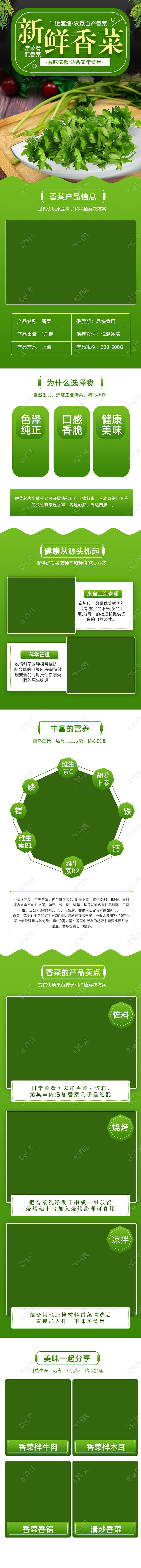 绿色背景新鲜香菜农家自种香菜蔬菜详情页