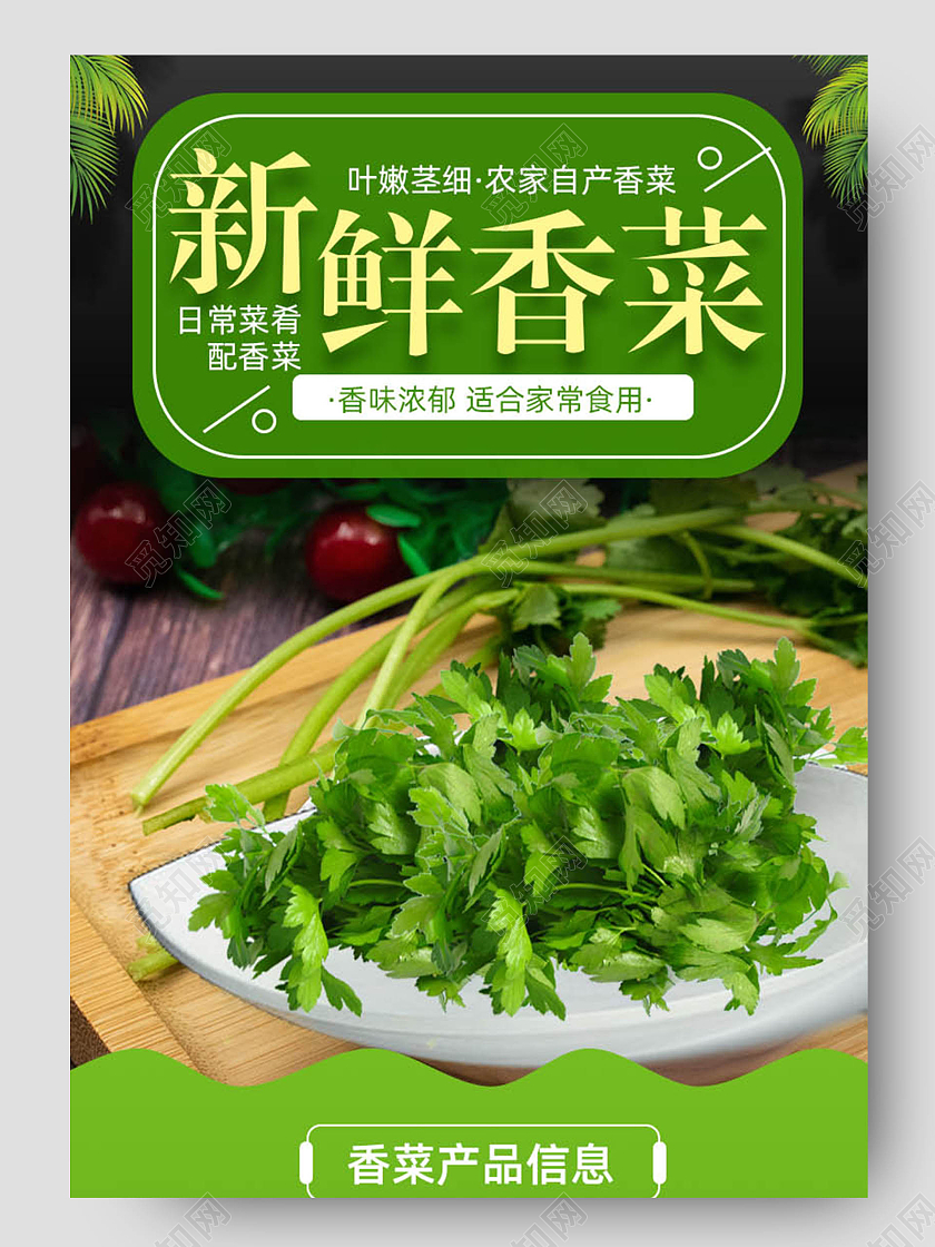 绿色背景新鲜香菜农家自种香菜蔬菜详情页
