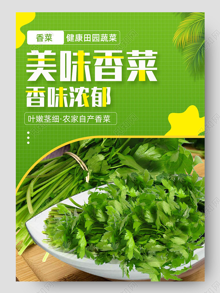 绿色背景简约美味香菜夏季果蔬详情页蔬菜详情页