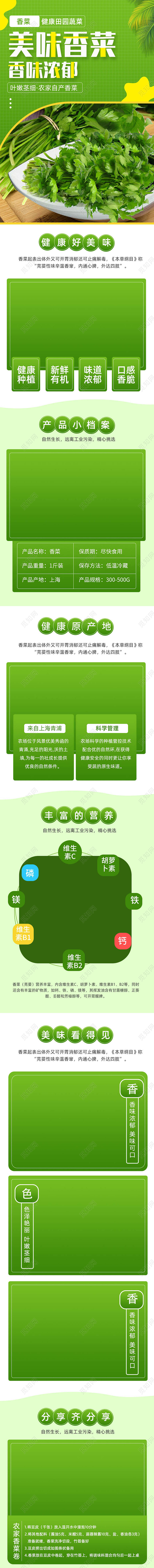 绿色背景简约美味香菜夏季果蔬详情页蔬菜详情页