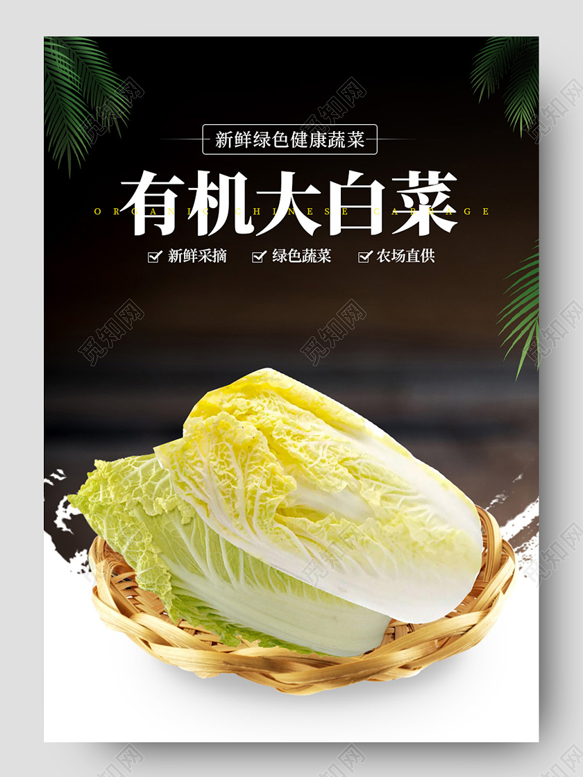 电商绿色淘宝天猫蔬菜白菜娃娃菜有机大白菜蔬菜详情页
