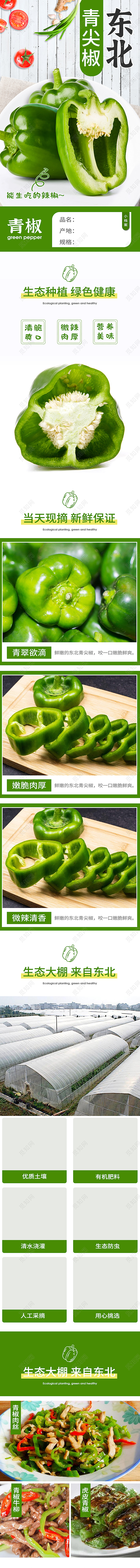 青色简约小清新东北青椒青尖椒辣椒生态种植绿色健康蔬菜详情页