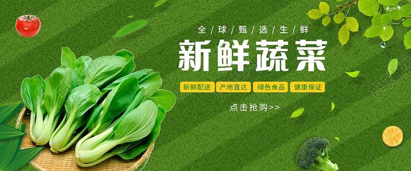 绿色健康新鲜蔬菜小青菜蔬菜海报banner