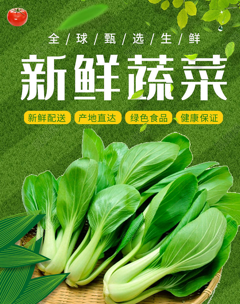 绿色健康新鲜蔬菜小青菜蔬菜海报banner