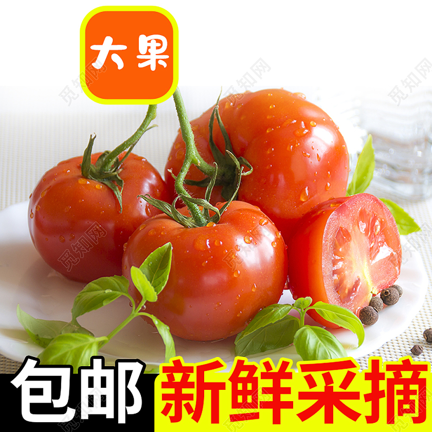 简约大果新鲜采摘包邮蔬菜番茄西红柿蔬菜主图