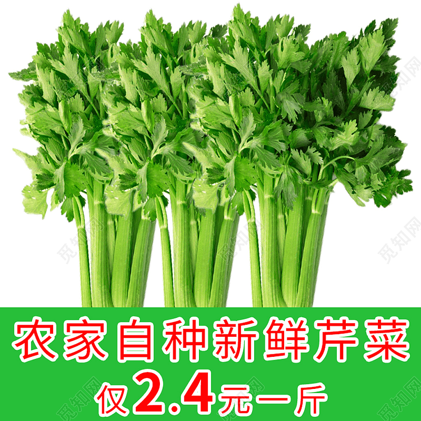 纯绿色食品农家自种新鲜芹菜原生态简约蔬菜主图