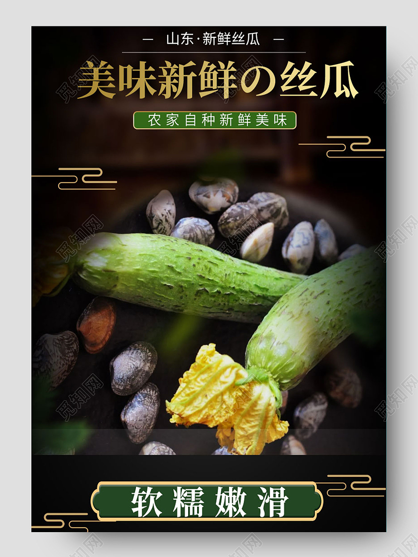 黑色简约美味新鲜丝瓜山东丝瓜新鲜蔬菜详情页